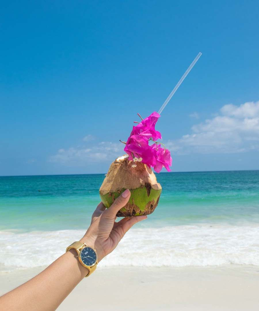 Safari and beach card makakatana bay giraffe